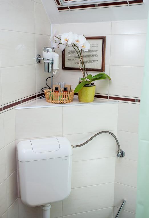 Pension Brasovu Vechi Habitación foto
